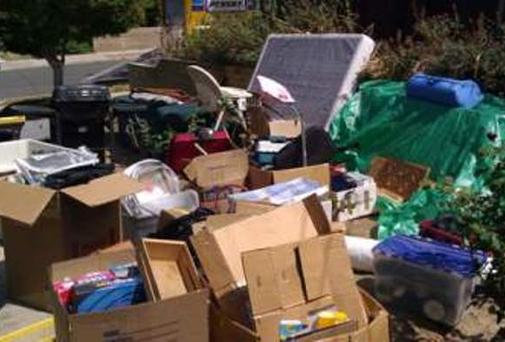 Eco-Friendly Junk Removal in Frederick, MD